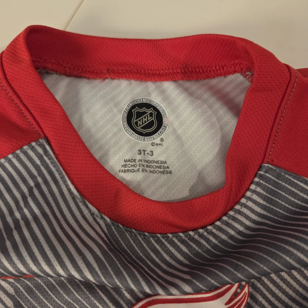NHL Detroit Red Wings Kids Red and Gray Short Sleeve Tee 3T